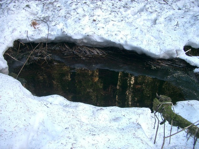 cimg0141